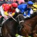 Form guide, field, tips and odds; David Gately tips Providence to beat odds-on favourite Observer
