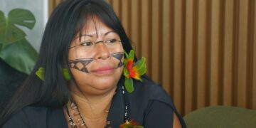 ‘Women are afraid to get pregnant’: Fighting mercury poisoning from illegal gold mining in Brazil | Science, Climate & Tech News