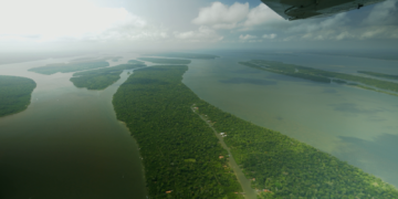 Brazil ‘surprised’ UK not investing in new rainforest fund it helped design | Science, Climate & Tech News