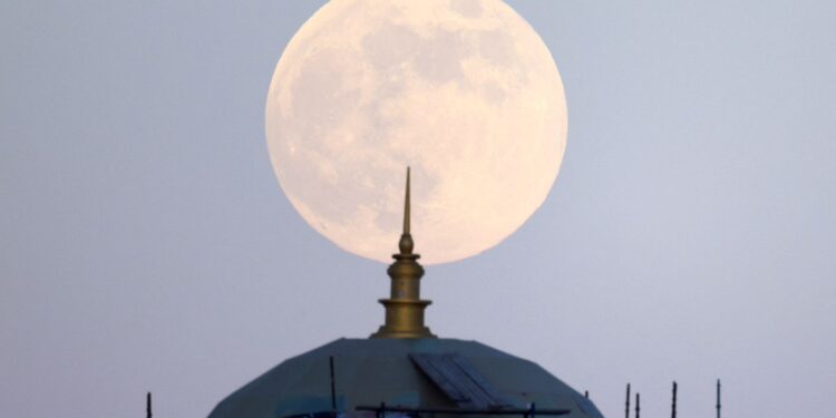 How and when to see the beaver supermoon – the biggest full moon of the year | Science, Climate & Tech News