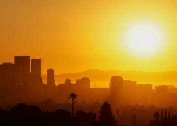 COP30: Are climate summits saving the world – or just hot air? | Science, Climate & Tech News