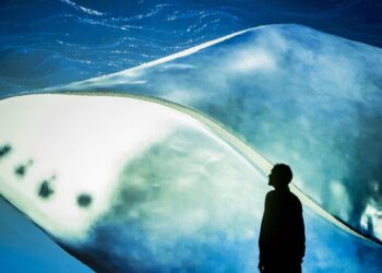 A bowhead whale’s DNA offers clues to fight cancer : NPR