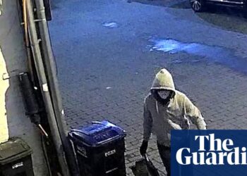 Suspected DC pipe bomber appears at detention hearing after alleged confession | US Capitol attack