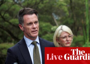 Australia news live: protesters outside Sydney’s town hall chant phrase that NSW premier wants to ban | Australia news