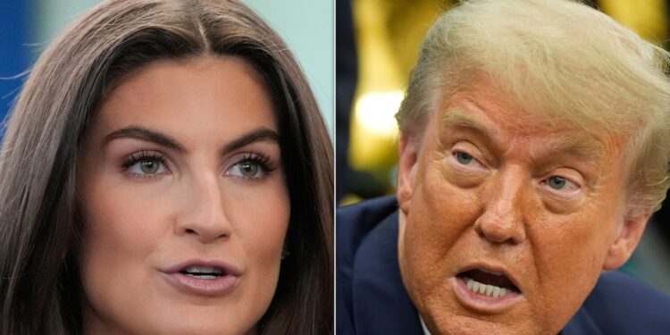 CNN Host Highlights 1 Thing Trump ‘Notably Did Not Do’ During His Recent Rally