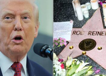 Watch Fox News Host’s Wild Spin On Donald Trump’s Rob Reiner Takedown