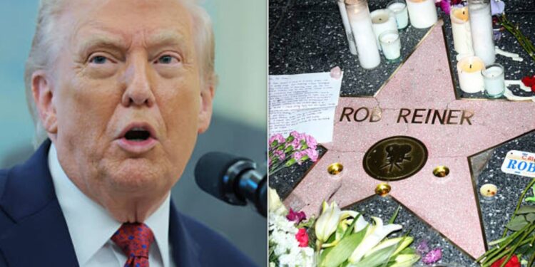 Watch Fox News Host’s Wild Spin On Donald Trump’s Rob Reiner Takedown