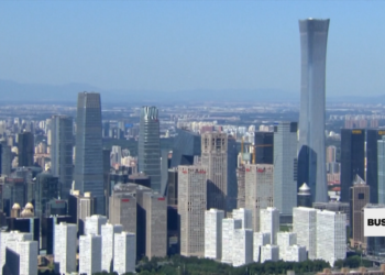 China sees first annual investment decline in 30 years