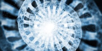 Microscopic Droplets Reveal DNA’s Secret Architecture