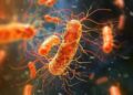 New “Super Antibiotic” Kills Deadly Gut Infection Without Destroying the Microbiome