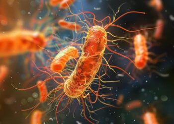 New “Super Antibiotic” Kills Deadly Gut Infection Without Destroying the Microbiome