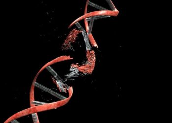 Scientists Find a Surprising Weak Point in Rare Genetic Disease