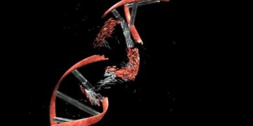 Scientists Find a Surprising Weak Point in Rare Genetic Disease