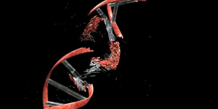 Scientists Find a Surprising Weak Point in Rare Genetic Disease