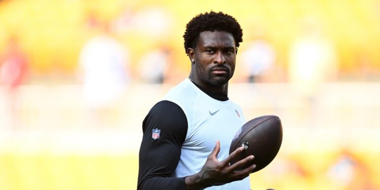 Steelers’ DK Metcalf Has Altercation With Fan in Stands During Game