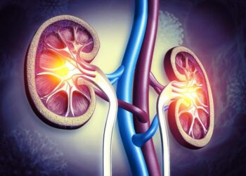 This Antibody Can Slip Into Kidney Cysts and Shut Them Down