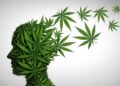 Cannabis Pain Relief Comes With a Catch