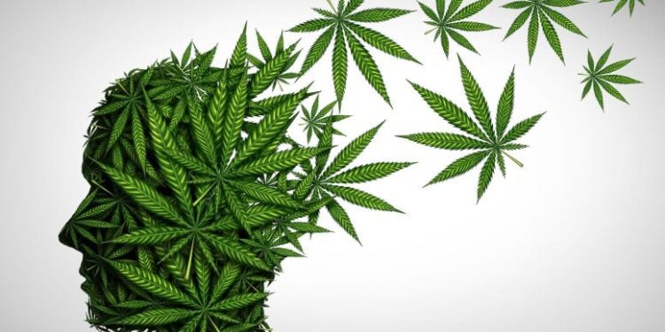 Cannabis Pain Relief Comes With a Catch