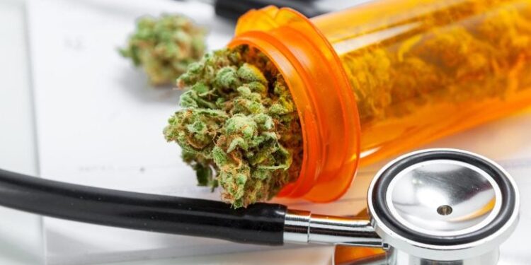 Medical Cannabis Hype Hits a Wall as Researchers Reveal Big Evidence Gaps