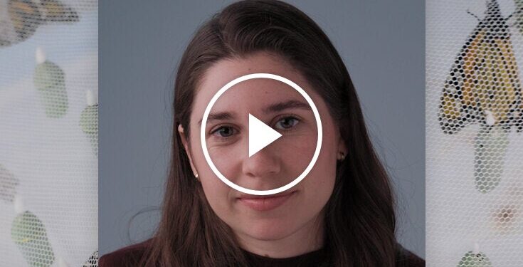 Why Scientists Are Performing Brain Surgery on Monarchs