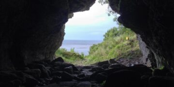 5,000-Year-Old Wolves Found on Remote Island Challenge Conventional Views of Domestication