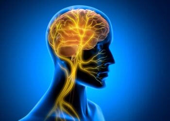 A Hidden Brain Signal May Protect the Aging Heart