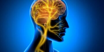 A Hidden Brain Signal May Protect the Aging Heart