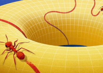 Behold the Manifold, the Concept that Changed How Mathematicians View Space