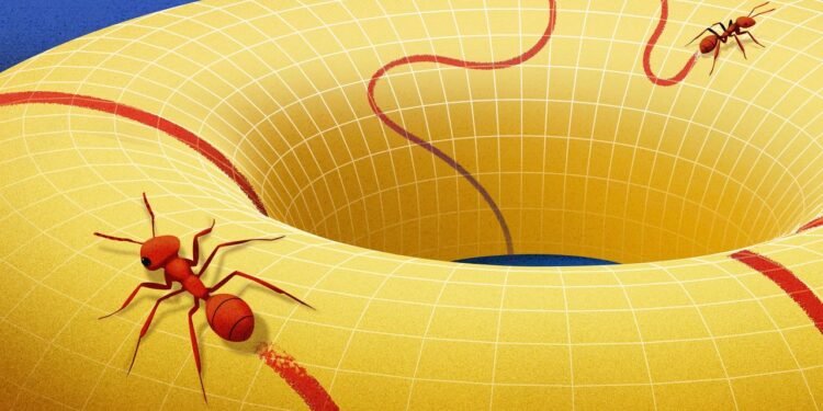 Behold the Manifold, the Concept that Changed How Mathematicians View Space