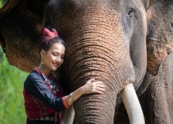 AI Wildlife Videos Are Fooling Millions and Putting Real Animals at Risk