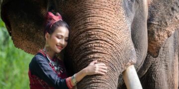 AI Wildlife Videos Are Fooling Millions and Putting Real Animals at Risk