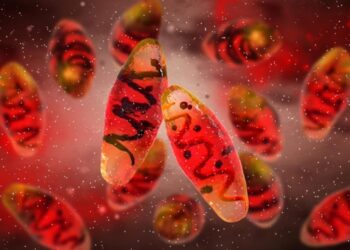 A 4,000-Year-Old Sheep Just Helped Solve One of History’s Deadliest Mysteries