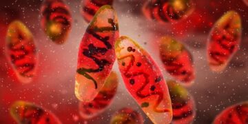 A 4,000-Year-Old Sheep Just Helped Solve One of History’s Deadliest Mysteries