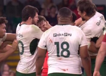 South Africa’s Eben Etzebeth cops 12-game suspension for eye gouge