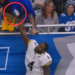 Pittsburgh Steelers receiver DK Metcalf punches fan during game against Detroit Lions
