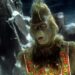 Three Seinfeld Writers Rewrote The Grinch Script