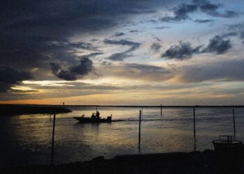 The Louisiana Department of Wildlife and Fisheries Is Detaining People for ICE