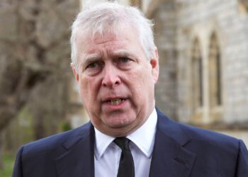 Cabinet Office blames ‘administrative error’ over mistaken release of historical Andrew documents | Politics News