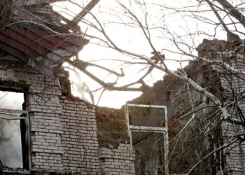 First British soldier has died in Ukraine – and Russia may exploit it | World News