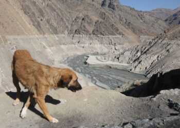 Major city may have to evacuate as water supplies run low | World News