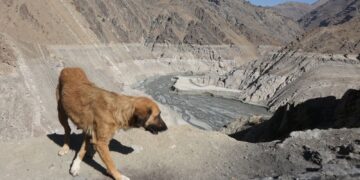 Major city may have to evacuate as water supplies run low | World News