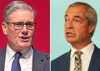 Attempting to rejoin EU customs union ‘complete fuel for Reform’, Starmer warned | Politics News