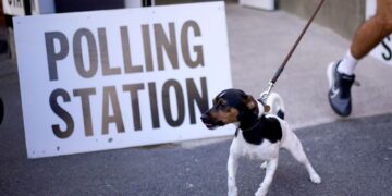 Sir Ed Davey writes to human rights watchdog over local election delays | Politics News