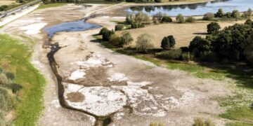 2025 on track to be UK’s warmest year on record, says Met Office | UK News