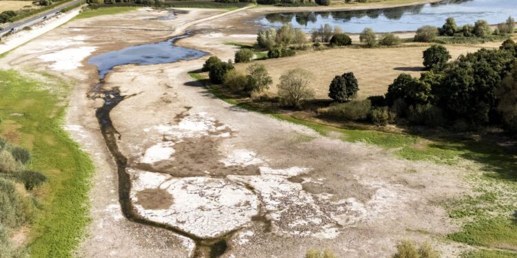 2025 on track to be UK’s warmest year on record, says Met Office | UK News