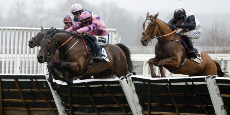 Today on Sky Sports Racing: Ascot, Hereford, Newcastle and Wolverhampton | Racing News