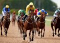 Today on Sky Sports Racing: Southwell hosts nine-race all-weather card | Racing News