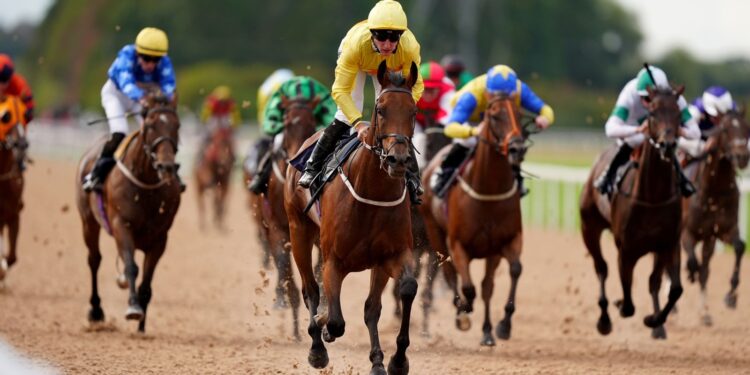 Today on Sky Sports Racing: Southwell hosts nine-race all-weather card | Racing News