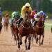 Today on Sky Sports Racing: Southwell hosts nine-race all-weather card | Racing News