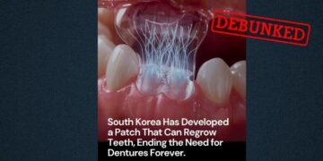 No, this South Korean patch does not regrow teeth
